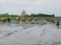 Wattwagenfahrt nach Neuwerk